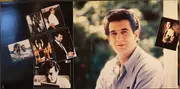Double LP - Bizet / Puccini / Donizetti a.o. - Les Triomphes De Domingo