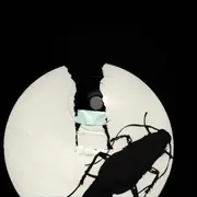 LP - Plague Mass - Union Of Egoists