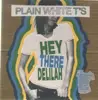 7'' - Plain White T's - Hey There Delilah