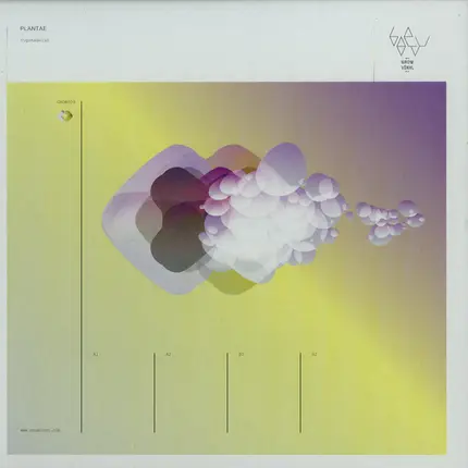 Plantae - Tigshameran