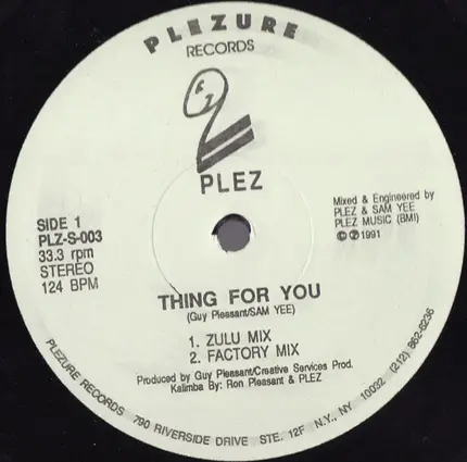 Plez - Thing For You