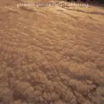 Pleasant Grove - The Art of Leaving