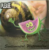 The Please - Sentimental Watermelon
