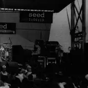 CD - Pleasurecrush - Seed