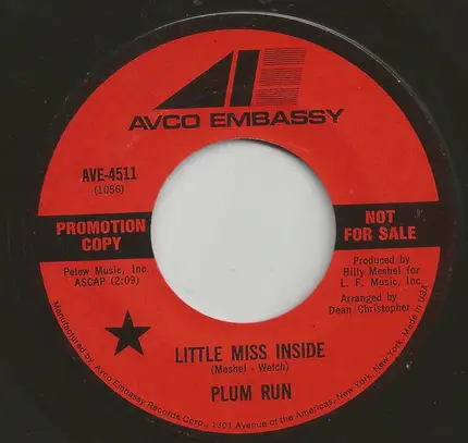 Plum Run - Medley / Little Miss Inside