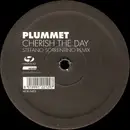 12inch Vinyl Single - Plummet - Cherish The Day