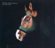 Pluramon - Dreams Top Rock