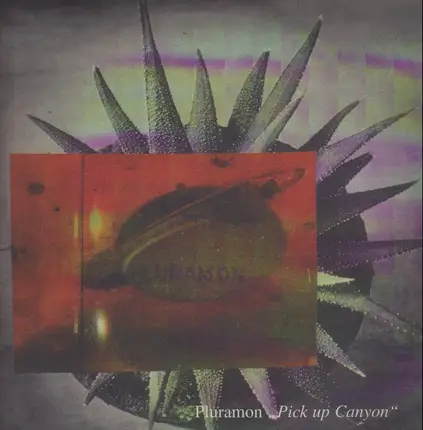 Pluramon - Pick Up Canyon