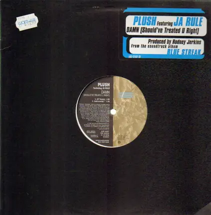 Plush featuring Ja Rule - Damn (Should've Treated U Right)