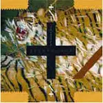 PLUS/MINUS (+/-) - LET'S BUILD A FIRE