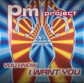 P.M. Project - You Know I Want You