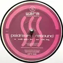 12inch Vinyl Single - Psidream & Resound - Time Goes By / The Fog