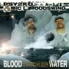CD - Psy2ko & Mic L. Moodswing - Blood Is Thicker Than Water