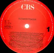 Double LP - Jimi Hendrix, The Byrds, The Beach Boys - Flower Power