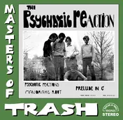 PSYCHOTIC REACTION - MASTERS OF TRASH