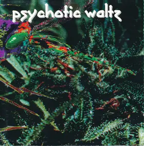 Psychotic Waltz - Mosquito