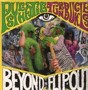 psychotic turnbuckles - Beyond The Flip-Out