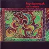 CD - Psychomuzak - The Exstasie