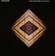 12inch Vinyl Single - Psychonauts - Fear Is Real / Hips For Scotland