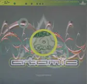 12inch Vinyl Single - Psychaos - Investigating Eternity / Acidica