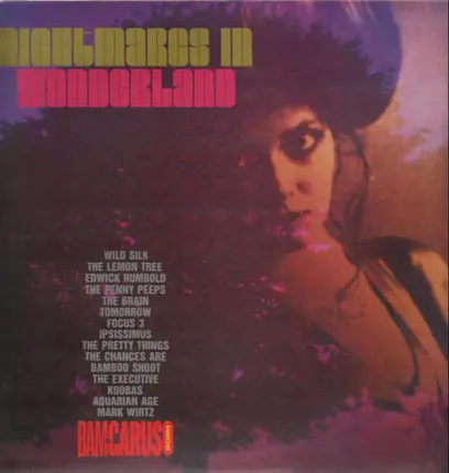 The Brain, Focus Three, a.o. - Rubble 03: Nightmares In Wonderland