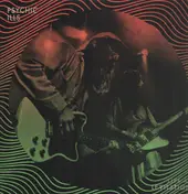 Psychic Ills - Live At Levitation