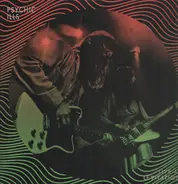 Psychic Ills - Live At Levitation