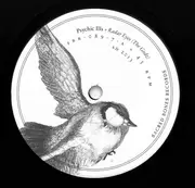 7inch Vinyl Single - Psychic Ills - Radar Eyes (The Godz) - Blue Cover / White Labels