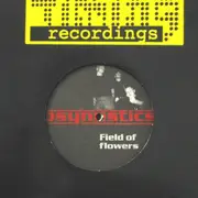12'' - Psynostics - Field Of Flowers
