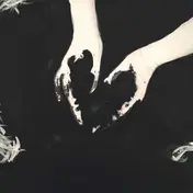 Protein - Secret Garden
