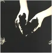 LP - Protein - The Secret Garden