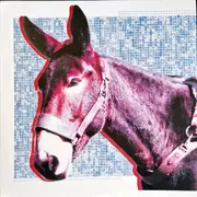LP - Protomartyr - Ultimate Success Today