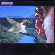Prototype - Prototype