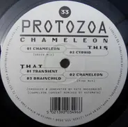Protozoa - Chameleon