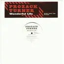 12'' - Prozack Turner - Wonderful Life - Promo
