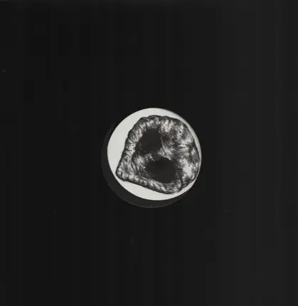 Proboscide - Proboscide 04