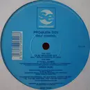 12inch Vinyl Single - Problem Boy - Self Control