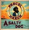 LP - Procol Harum - A Salty Dog