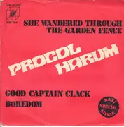 7inch Vinyl Single - Procol Harum - She Wandered Through The Garden Fence - Original Portuguese