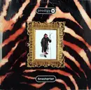 12'' - Prodigy, The Prodigy - Firestarter