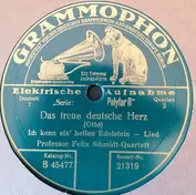 Professor Felix-Schmidt-Doppelquartett