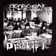 Progeria / Dysmorfic - Progeria / Dysmorfic