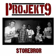 Projekt 9 - Storebror