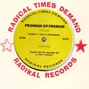 12'' - Promise Of Premise - Work It