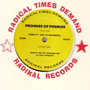 12'' - Promise Of Premise - Work It