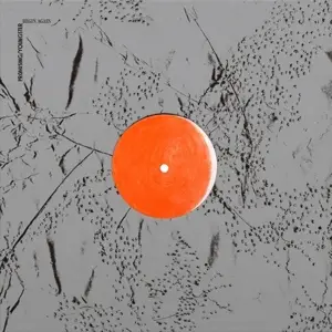 Promising/Youngster - Begin Again