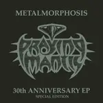 praying mantis - METALMORPHOSIS