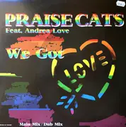12inch Vinyl Single - Praise Cats - We Got Love
