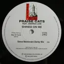 12inch Vinyl Single - Praise Cats - Shined On Me