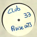 12inch Vinyl Single - Praise Cats Feat. Andrea Love - Love Is The Key - Promo